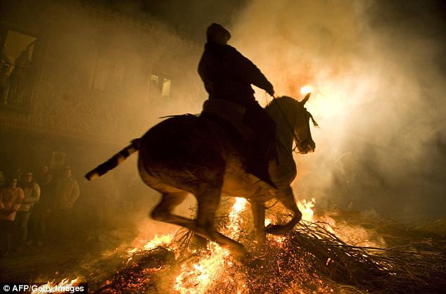 horse leaping bonfire